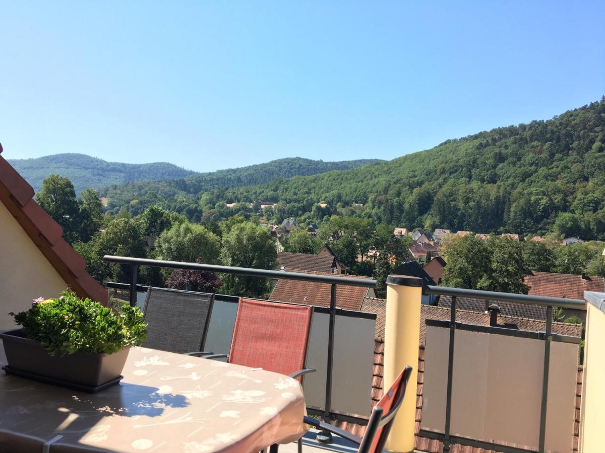 Le Panorama Apartment Kaysersberg-Vignoble Exterior photo