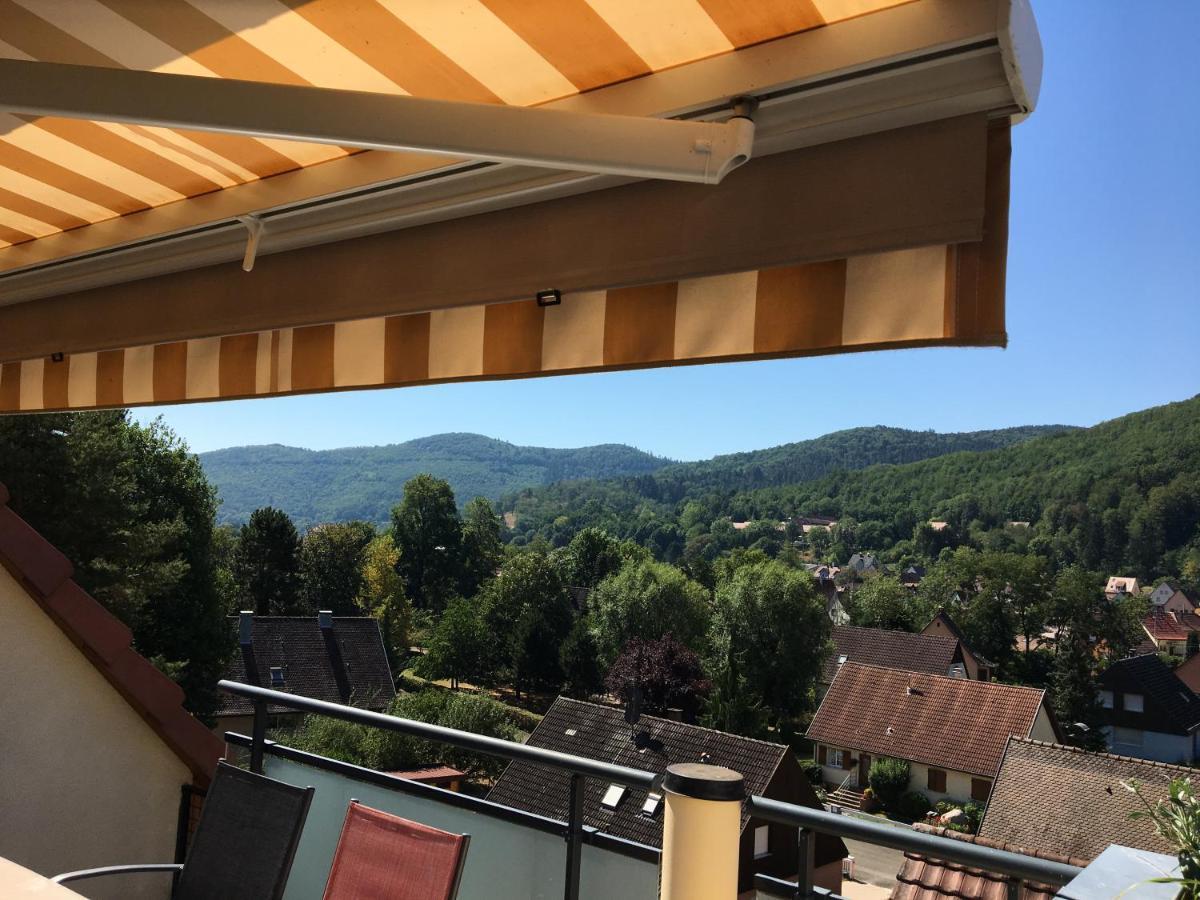 Le Panorama Apartment Kaysersberg-Vignoble Exterior photo