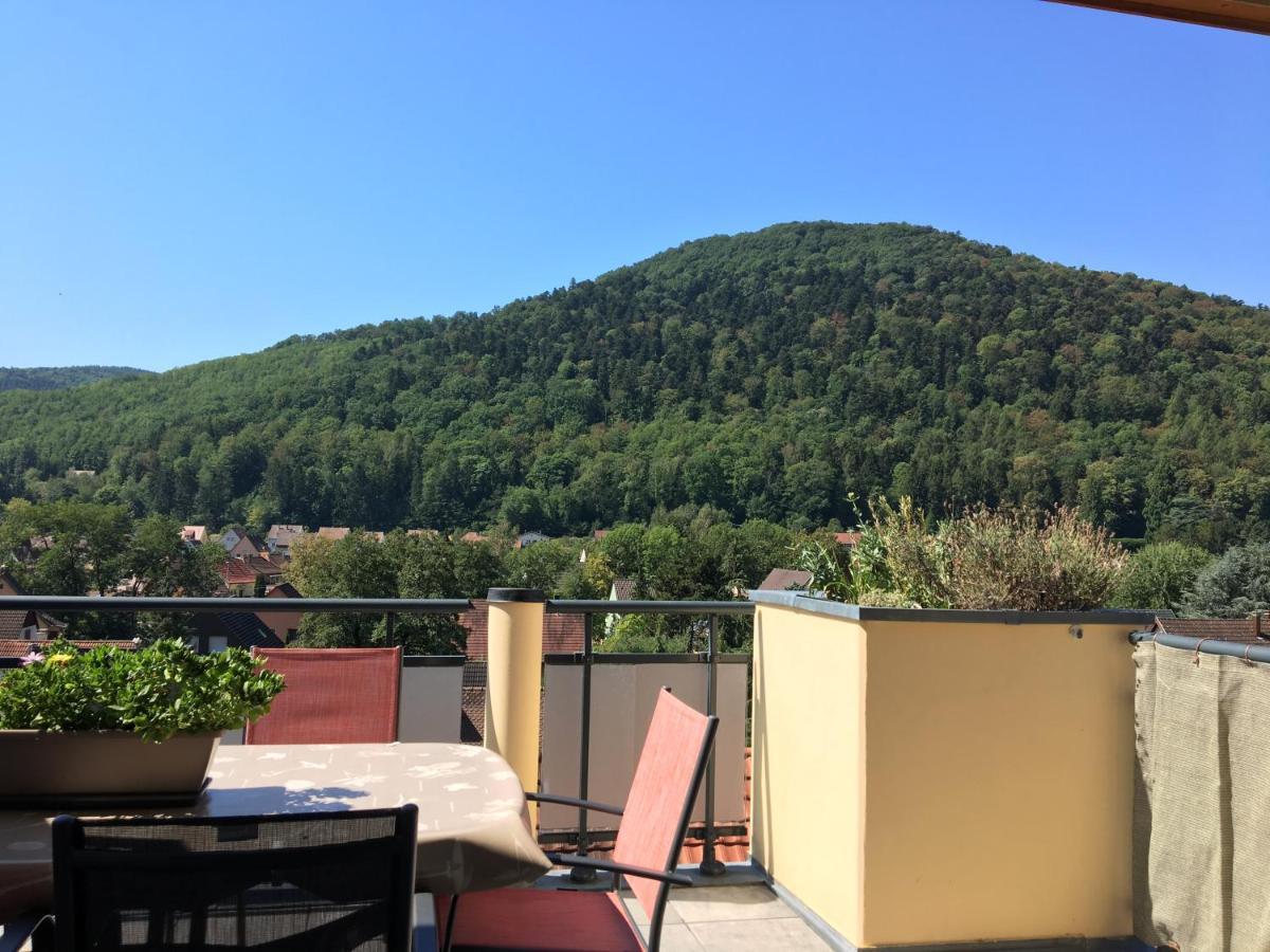 Le Panorama Apartment Kaysersberg-Vignoble Exterior photo