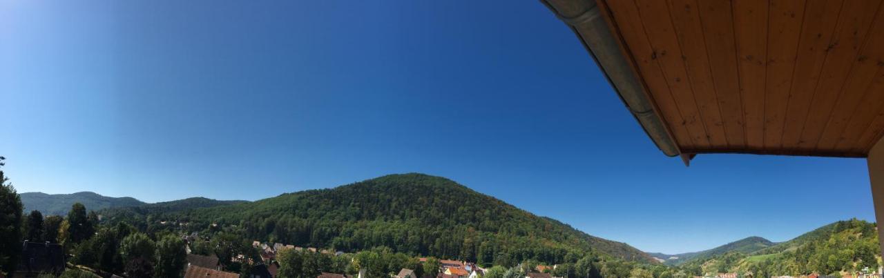 Le Panorama Apartment Kaysersberg-Vignoble Exterior photo